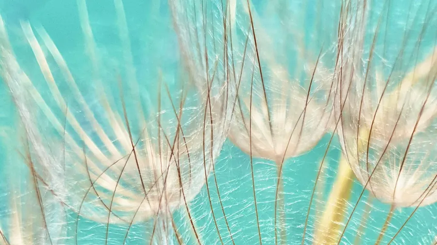 Realigning with nature time